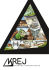 curriculum - Krej architecture+engineering