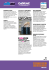 DOCUMENTO DI SINTESI PREMESSA ARTIST MANAGEMENT