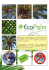 english - EcoPalm