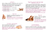 SPORT Reflex STONE MASSAGE TRAttAMENtO WEI