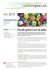 mobilesport.ch &ndash; 04/11 &ndash; Piccoli giochi con la palla