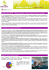 BELIEF a Rimini - Newsletter N.2