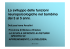 Lo sviluppo delle funzioni neuropsicologiche nel bambino dai 3 ai 5