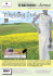 www.wedding-italia.com