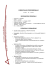 CURRICULUM PROFESSIONALE