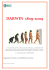 Darwin (1809-2009) (pdf - 288,1 KB)