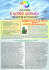 Numero 11 - Dicembre 2006