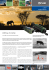 L`Africa di notte