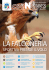 PDF - Csen Veneto