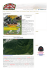 SPONSOR PARTNER GADGET Chi siamo | Contatti | Newsletter
