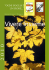 Vivere Insieme - Novembre 2010