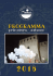 Scarica il programma della Pro Loco per il 2016