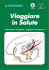 Viaggiare in Salute Viaggiare in Salute