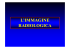 l`immagine radiologica