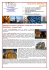 Scarica l`allegato PDF