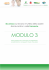 modulo 3 - ECM a distanza