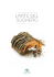 l`arte del sughero - Amorim Cork Italia