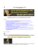 Newsletter ADi del 12/11/2013