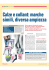 MARK UP 125 - Calze e collant: marche simili, diversa ampiezza
