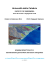 Scarica il documento in formato PDF