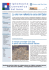 Newsletter n.25 del 15 Gennaio 2009