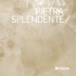 gres porcellanato