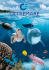 Brochure OLTREMARE