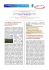 Newsletter n. 6 Novembre 2007