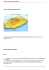Riserva Terrestre Naturale Orientata