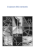 risposta - Unione Matematica Italiana