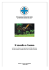 Il cavallo e l`uomo