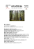 my forest - LIFE AFTER OIL International Film Festival