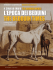l`epoca dei beduini the bedouin times
