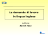 CV in lingua inglese lunga