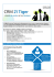CRM 21 Tiger - Centro Ufficio srl