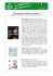 Bibliografia Differenza di Genere e Pari Opportunità.