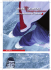 Allegato -