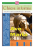 Anno II – N. 11 Maggio 2008