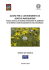 azioni per il contenimento di senecio inaequidens