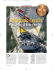 articolo il giornale della vela su cecilia