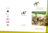 il romanzo del risorgimento