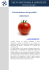 L`etichettatura dei prodotti alimentari.