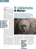 Il labirinto