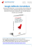 Google AdWords Immobiliare