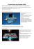 PDF articolo