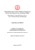 Descrizione del percorso formativo