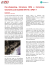 Scarica PDF - Sysdeco Italia Srl