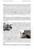 Diario Scozia