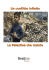 la Palestina che resiste