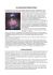 cliccando qui [PDF 800 KB].